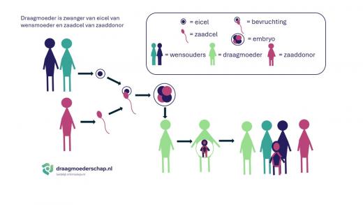schematisch uit een eicel avn wensmoeder en zaadcel van een donor groeit met hulp van een draagmoeder een kind.