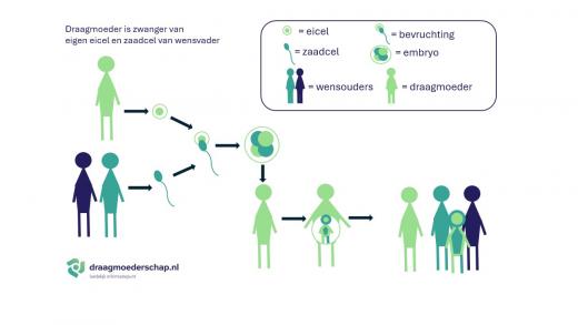 De draagmoeder wordt zwanger van haar eigen eicel en zaadcel van de wensvader