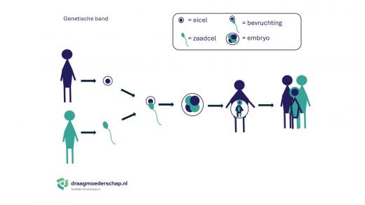 Na het samen smelten van de eicel en zaadcel ontstaat er een kind met dezelfde eigenschappen als de man en vrouw waarvan de eicel en zaadcel is.