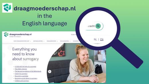 Hoofdpagina in het Engels met in de rechterhoek een vergrootglas met daarin de Nederlandse Engelse taal knop