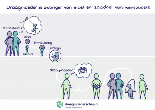 het embryo ontstaan uit de eicel en zaadcel van de wenouders geplaatst bij de draagmoeder groeit uit tot een kind