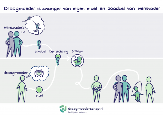 Embryo ontstaan uit eicel van de draagmoeder en zaad van de wensouder groeit in de buik van de draagmoeder uit tot kind