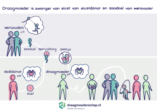 Embryo ontstaan uit de eicel van een donor en zaad van een wensvader groeit uit tot een kind in de buik van een draagmoeder
