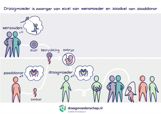 Embryo ontstaan uit de eicel van de wensouder en zaad van een donor groeit uit tot een kind in de buik van een draagmoeder.