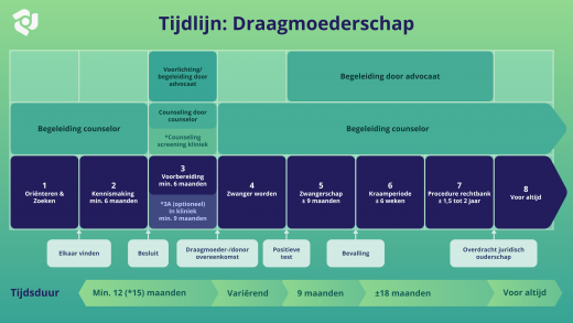 Schematische uitwerking van de verschillende stappen bij draagmoederschap en hun tijdsduur