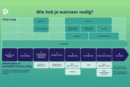 Stroomschema draagmoederschap met welke professional bij welke stap hoort